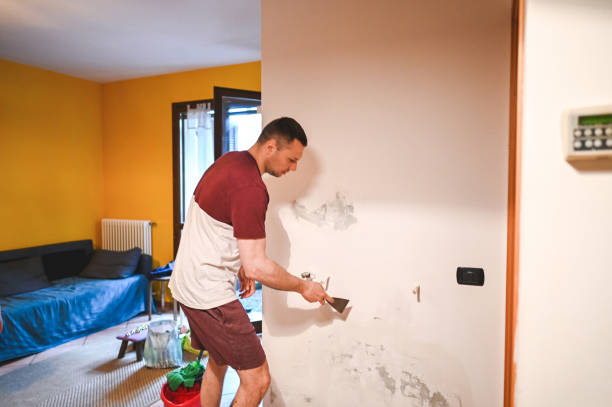 Best Home Mold Removal  in Anoka, MN